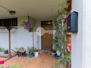 Ingresso