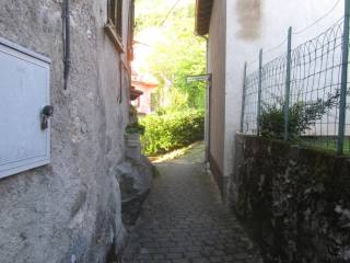 Zona