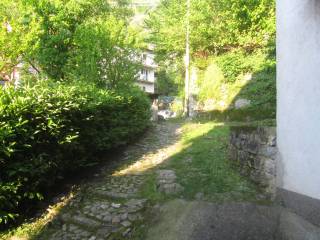 Zona