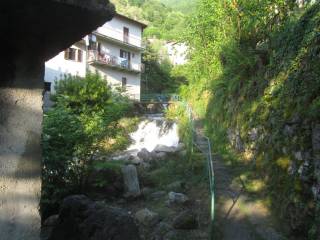 Zona