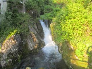Zona