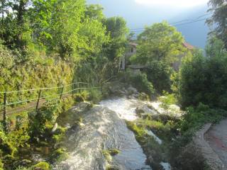 Zona