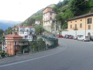 Zona