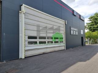 Ingresso