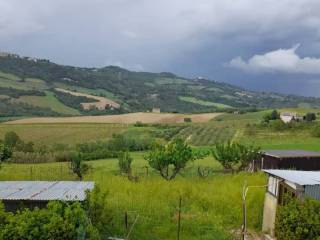 Vista