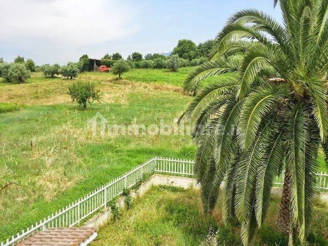 Terreno