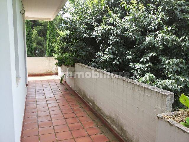 Terrazzo