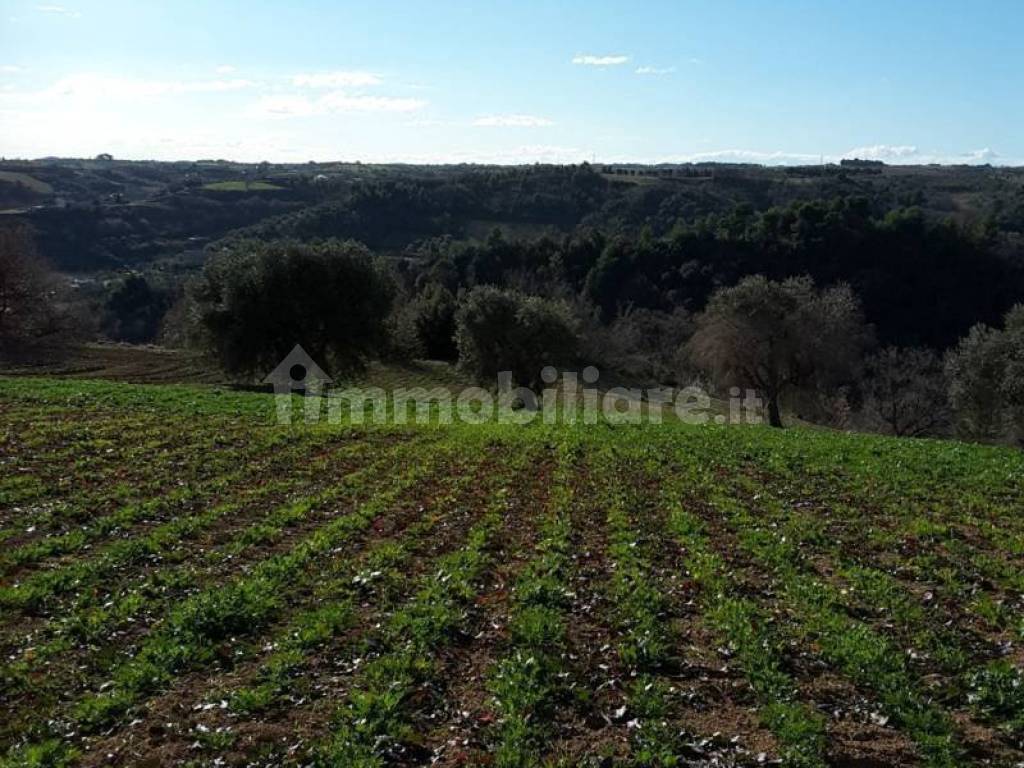 Terreno