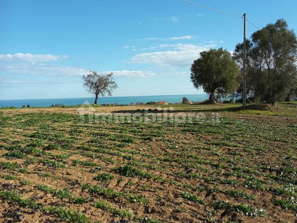 Terreno