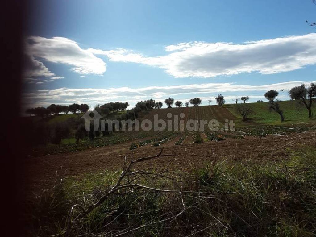 Terreno