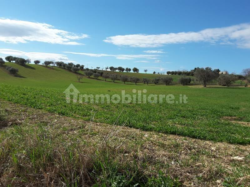 Terreno