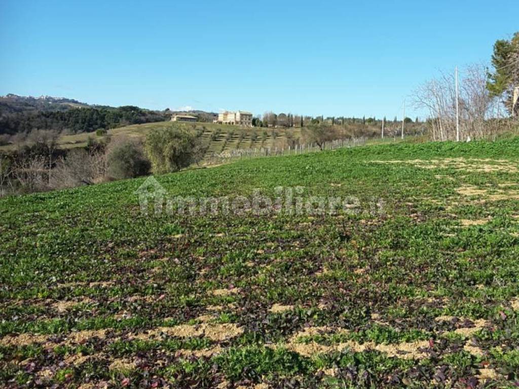 Terreno