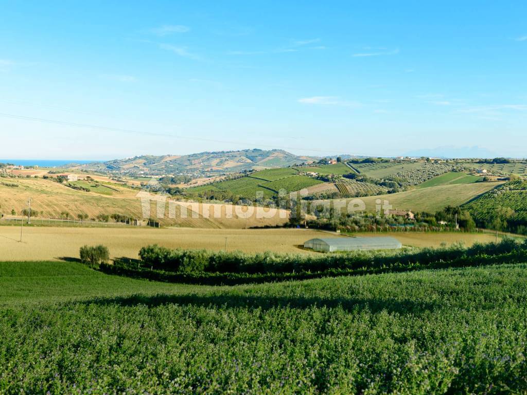Terreno