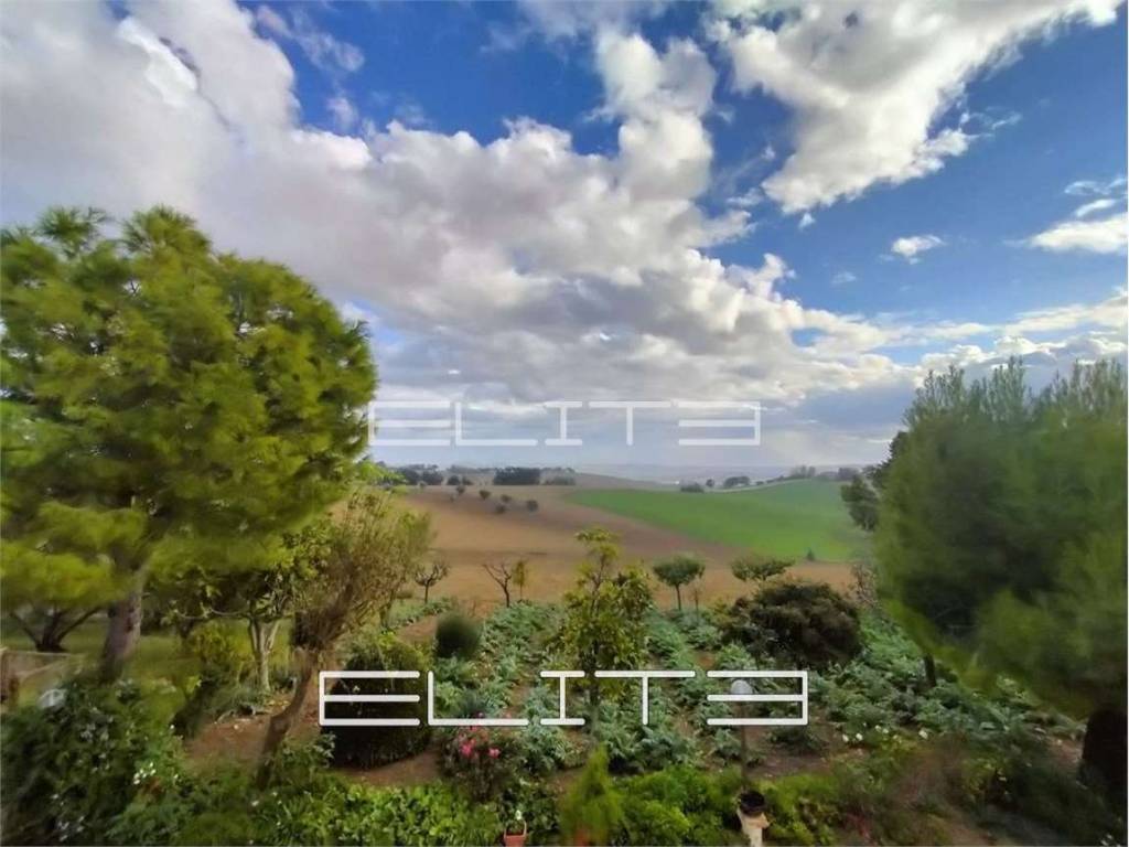 Vista