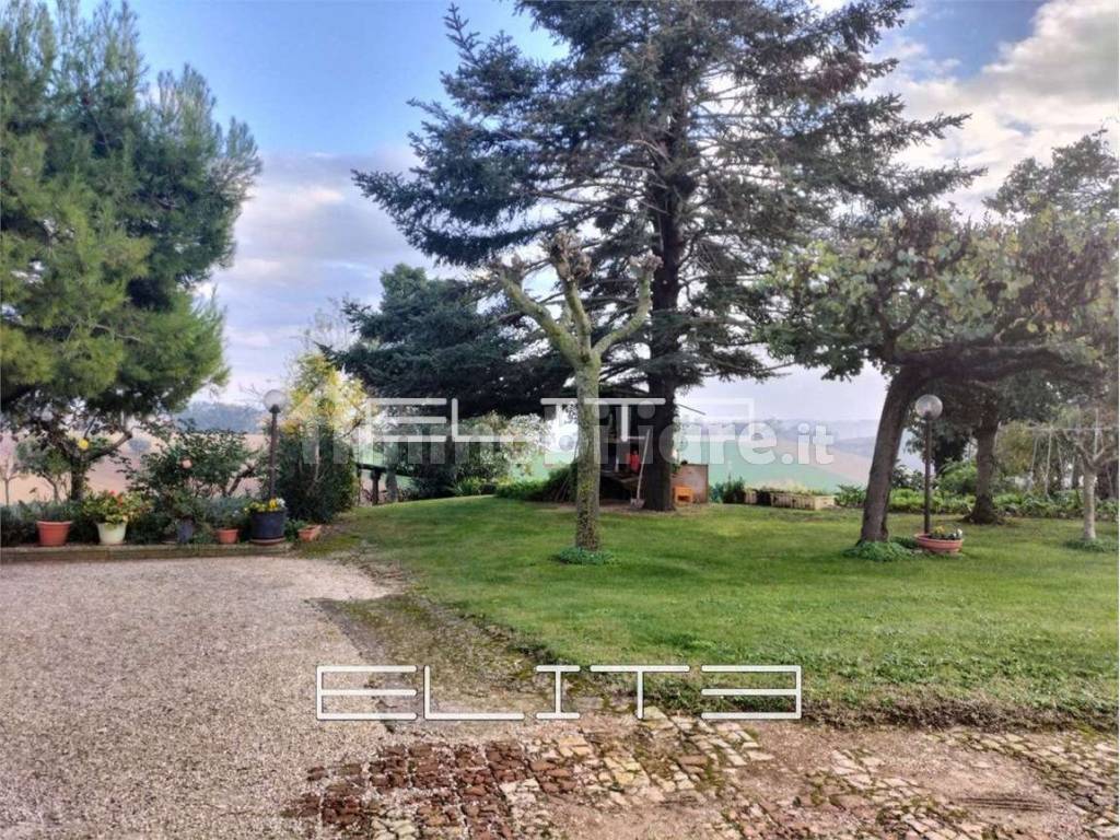 Giardino