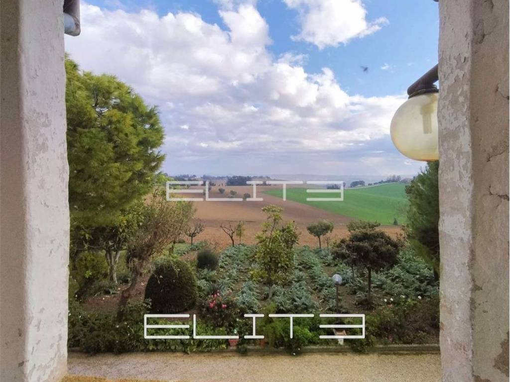 Vista