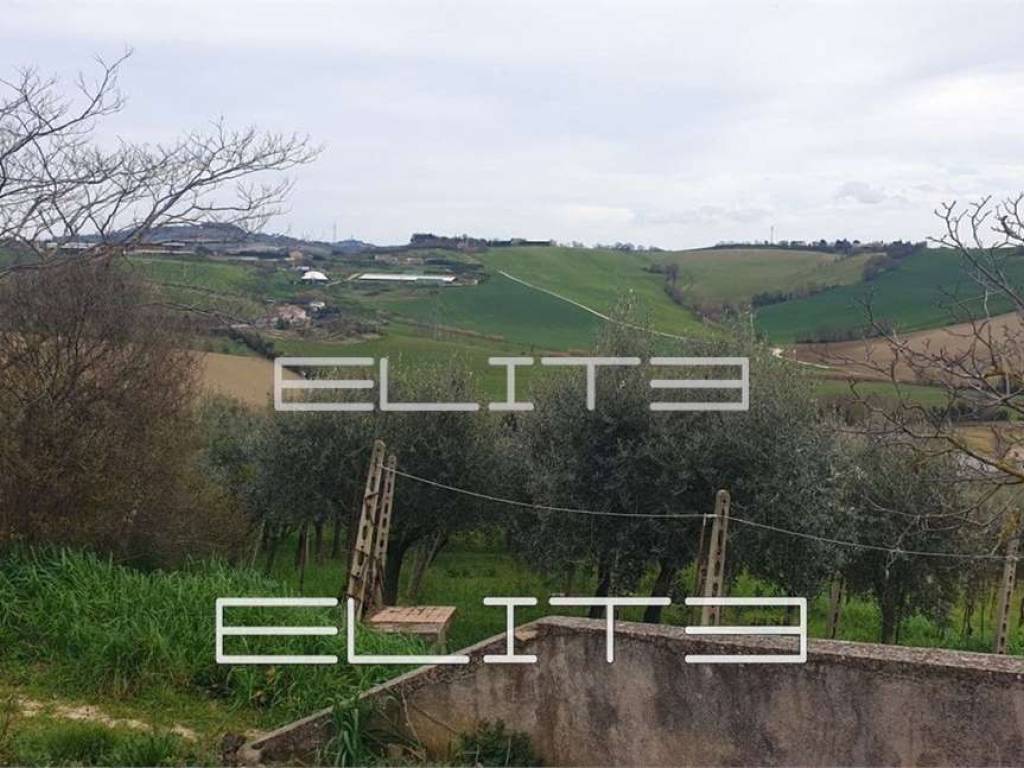 Vista