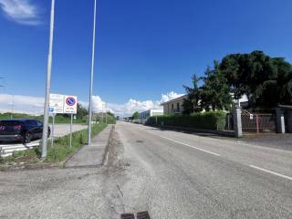 Zona