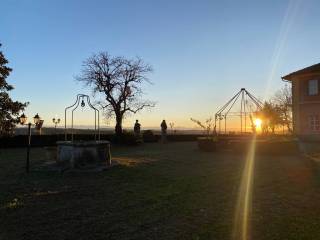 Zona