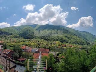 Vista