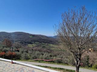 Vista
