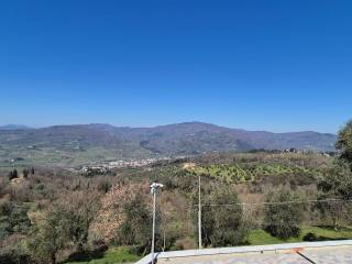 Zona