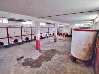 Magazzino