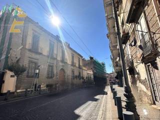 Zona