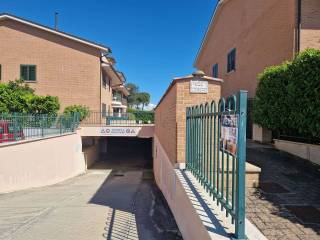 Zona
