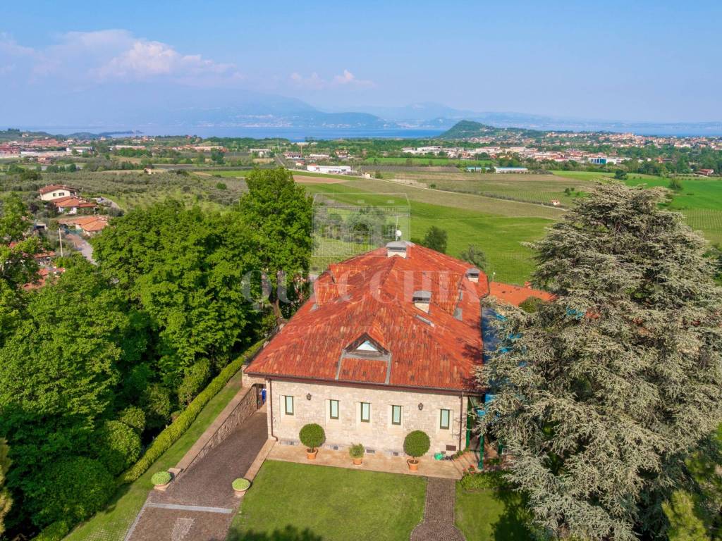 Vista