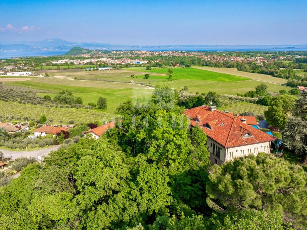 Vista