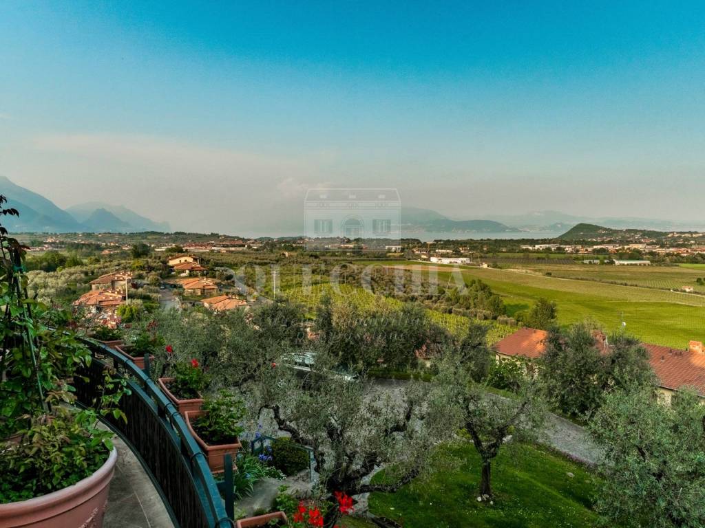 Vista