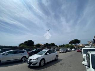 Zona