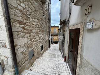 Zona