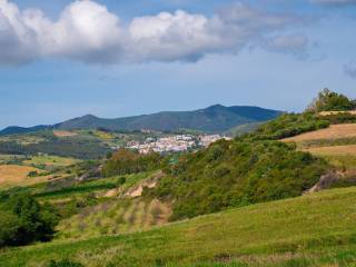 Vista