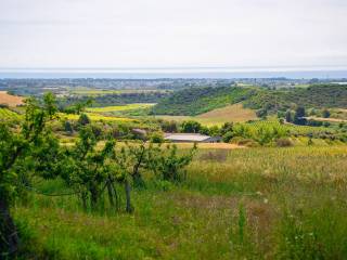 Vista