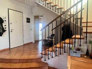 Ingresso
