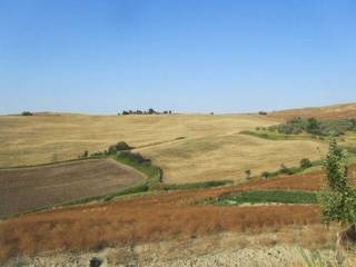 Terreno