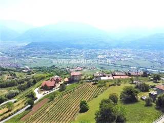 Vista