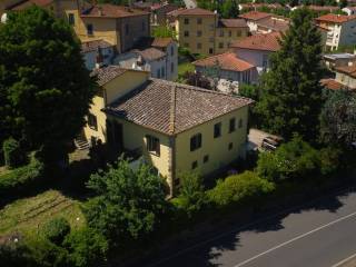 Vista