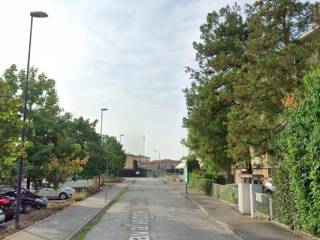 Zona