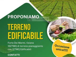 Altro