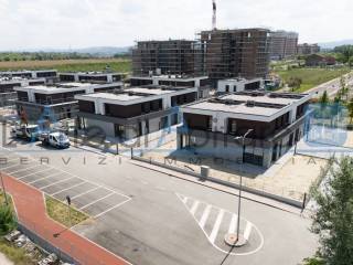 Vista