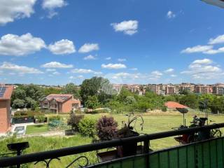 Vista