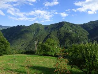 Vista