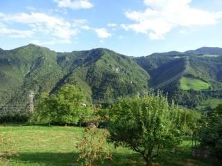 Vista