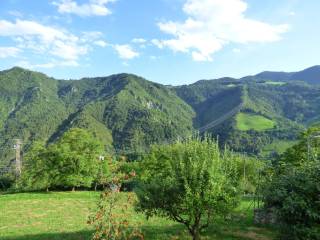 Vista