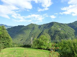 Vista