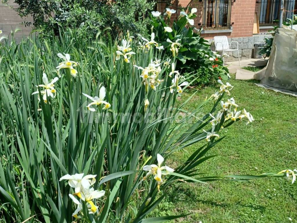 Stanza singola in Mirafiori Sud, foto 6 di 7