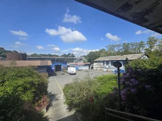Vista